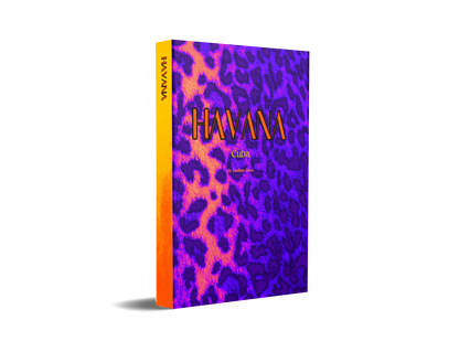 Havana Orange and Purple Decorative Book-Individual Book-LouRose Decor-LouRose Decor